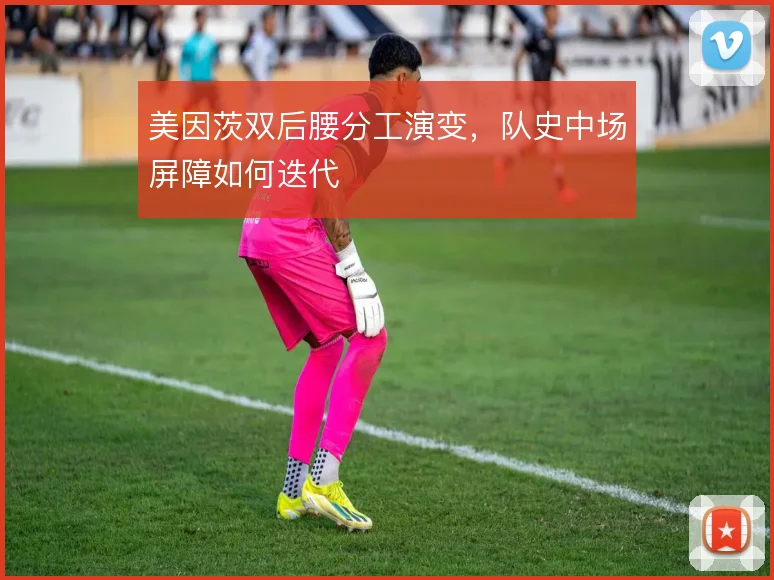 美因茨双后腰分工演变，队史中场屏障如何迭代